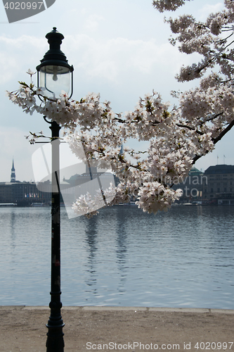 Image of Spring at the Alster