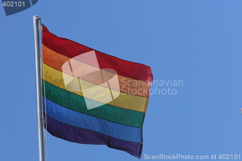 Image of gay flag