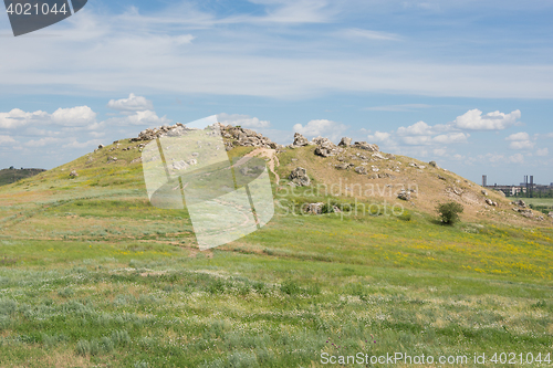 Image of Mountain ears Kamyshin Volgograd region