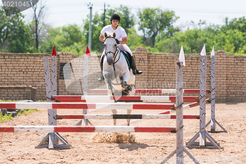 Image of Volgograd, Russia - June 19, 2016: The sportswoman on a horse show jumping phase passes with multiple barriers