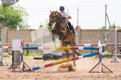 Image of Volgograd, Russia - June 19, 2016: Athletes train a horse doing a jump through the barrier