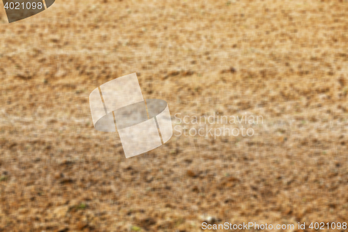 Image of plowed for sowing the land