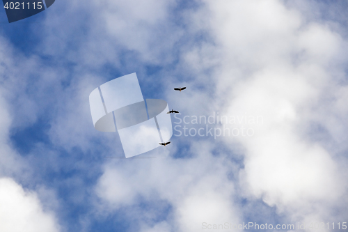 Image of clouds in the sky