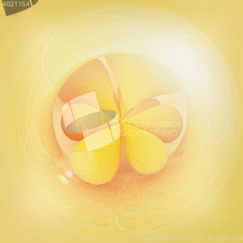 Image of Shiny button. 3D illustration. Vintage style.