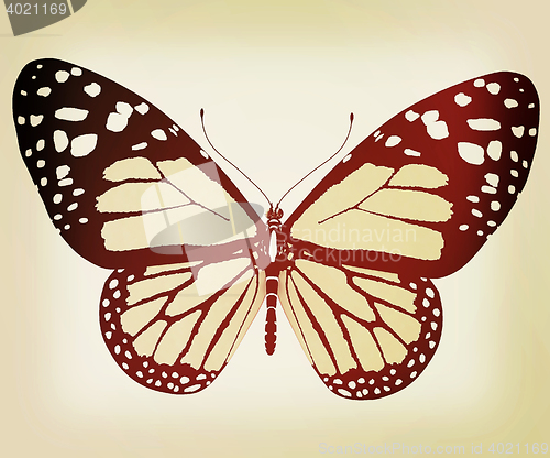 Image of beauty butterfly. 3D illustration. Vintage style.