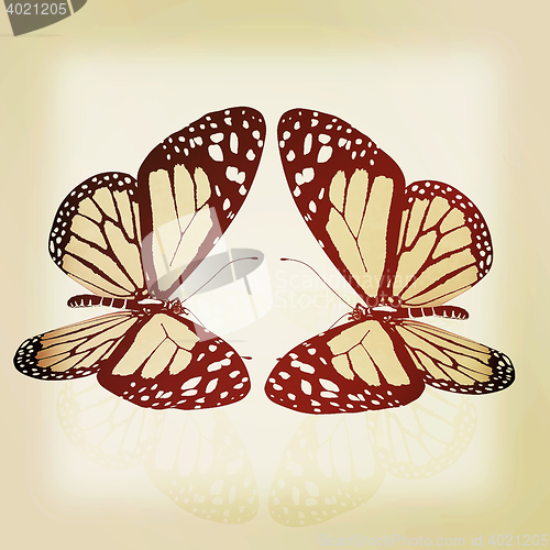 Image of beauty butterflies. 3D illustration. Vintage style.