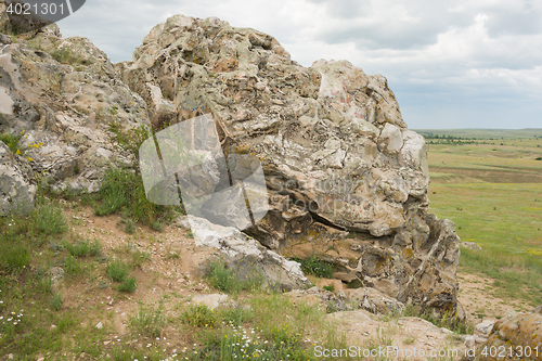 Image of The fossils close-up on a mountain deep in Kamyshin Volgograd region