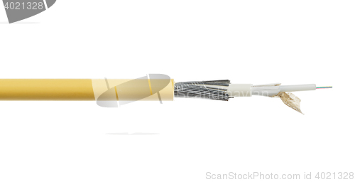 Image of Fiber optical cable detail isolated on white