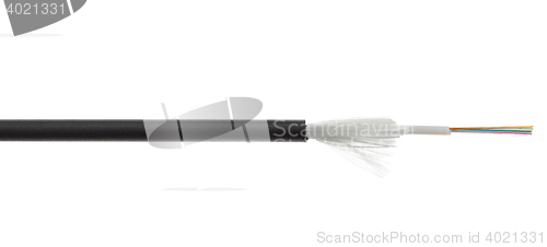 Image of Fiber optical cable detail isolated on white