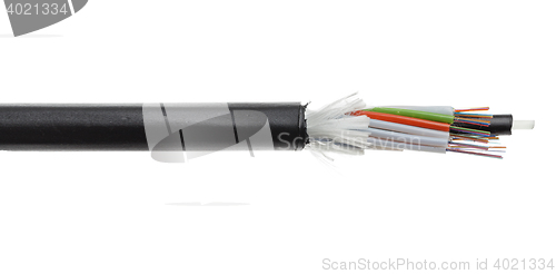 Image of Fiber optical cable detail isolated on white