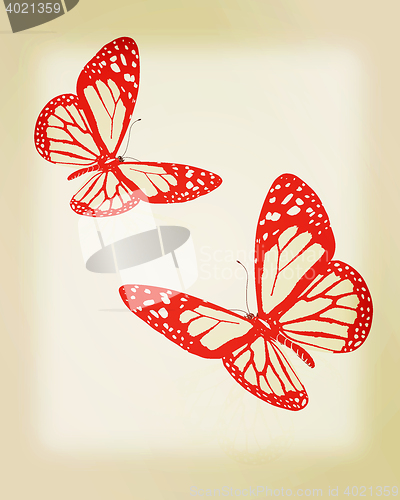 Image of beauty butterflies. 3D illustration. Vintage style.