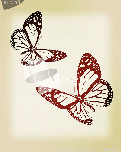 Image of beauty butterflies. 3D illustration. Vintage style.
