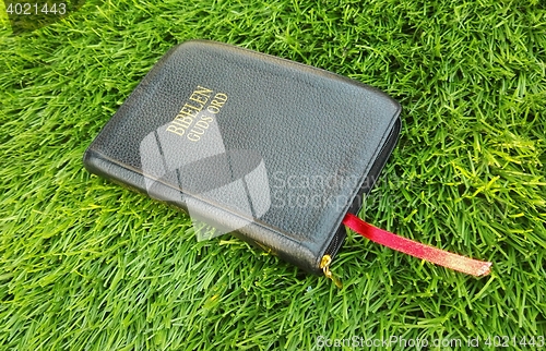 Image of Bible on the ground