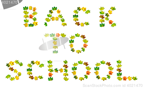 Image of BACK TO SCHOOL text composed of autumn multicolor maple leafs