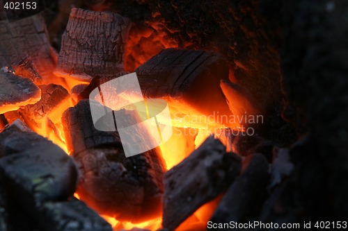 Image of burning wood coals