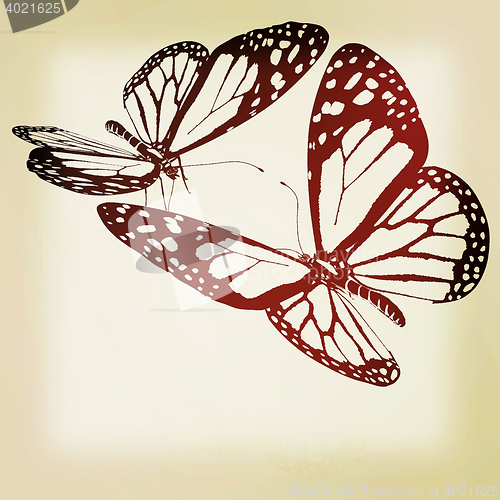 Image of beauty butterflies. 3D illustration. Vintage style.