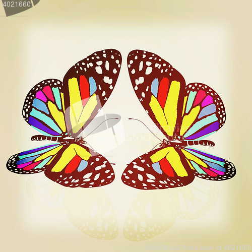 Image of beauty butterflies. 3D illustration. Vintage style.