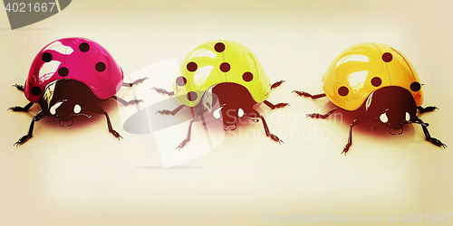 Image of Ladybirds. 3D illustration. Vintage style.