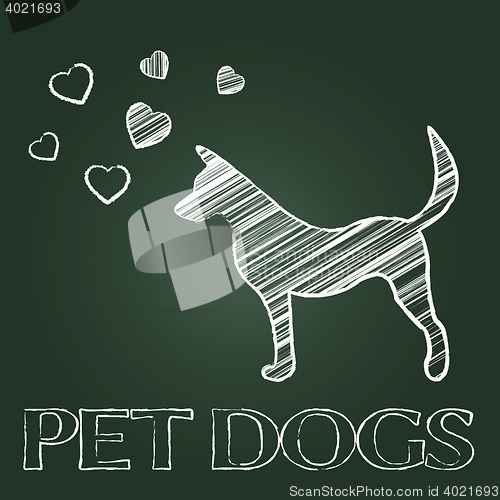 Image of Pet Dogs Means Domestic Animals And Canine