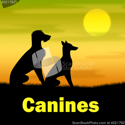 Image of Canines Word Indicates Dog Field And Puppy