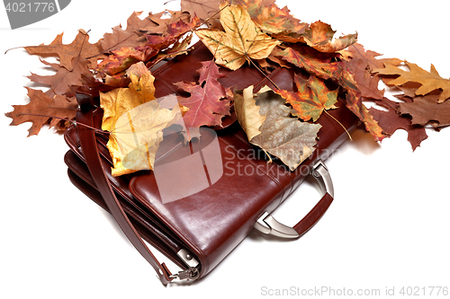 Image of Brown leather briefcase and autumn dry leaves