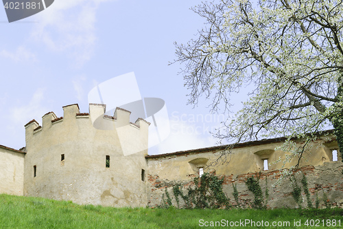 Image of Castle wall Riegersburg Austria
