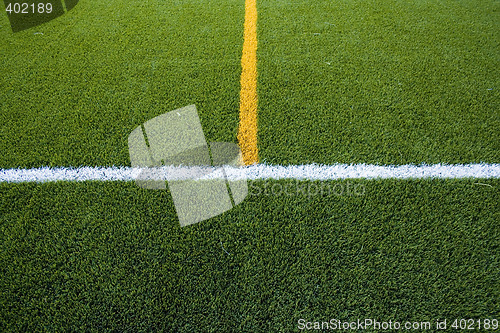 Image of Lines in the grass field