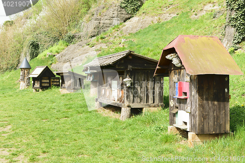 Image of Insect hotels