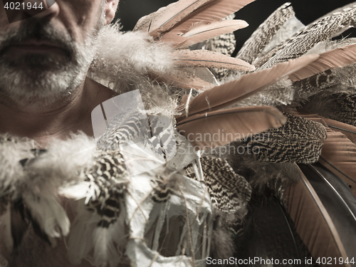 Image of different size feathers in a pattern for naturistic background