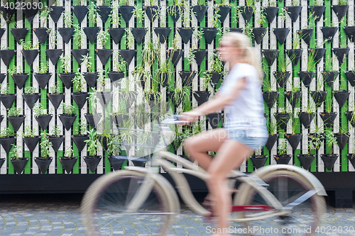 Image of Woman riding bycicle by green urban vertical garden wall.