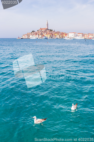 Image of Beautiful View Of Rovinj City, Croatia, Europe