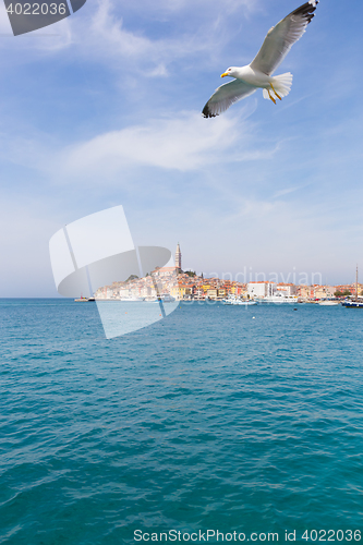 Image of Beautiful View Of Rovinj City, Croatia, Europe