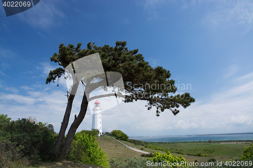 Image of Lighthouse Dornbusch at Hiddensee