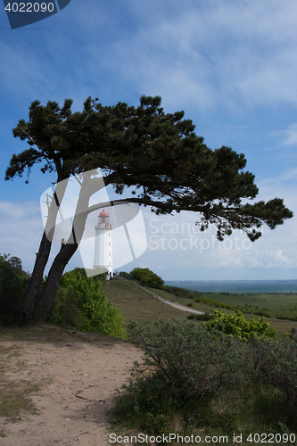 Image of Lighthouse Dornbusch at Hiddensee