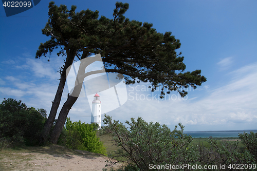 Image of Lighthouse Dornbusch at Hiddensee