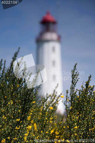 Image of Lighthouse Dornbusch at Hiddensee