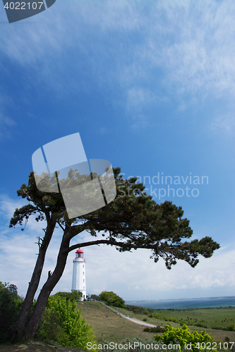 Image of Lighthouse Dornbusch at Hiddensee