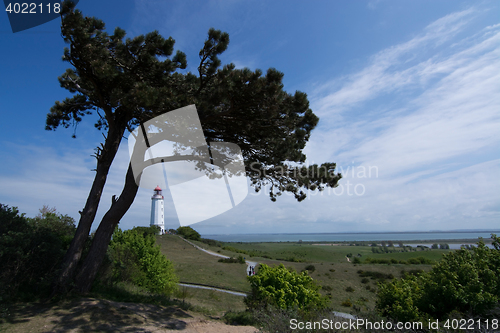 Image of Lighthouse Dornbusch at Hiddensee