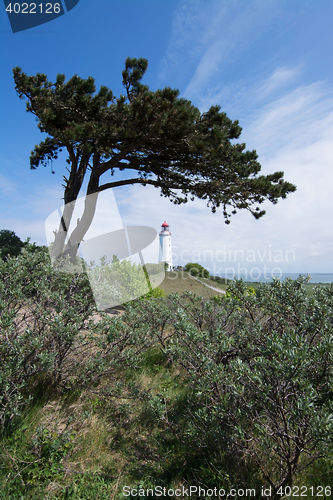 Image of Lighthouse Dornbusch at Hiddensee