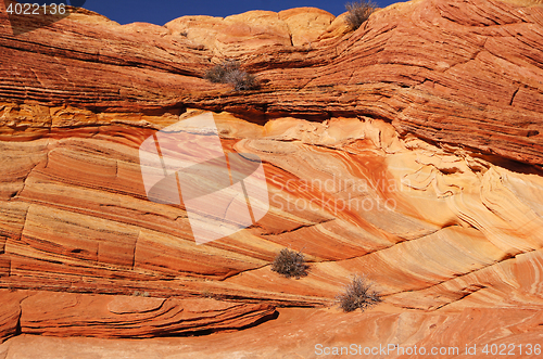 Image of The Wave, Vermilion Cliffs National Monument, Arizona, USA