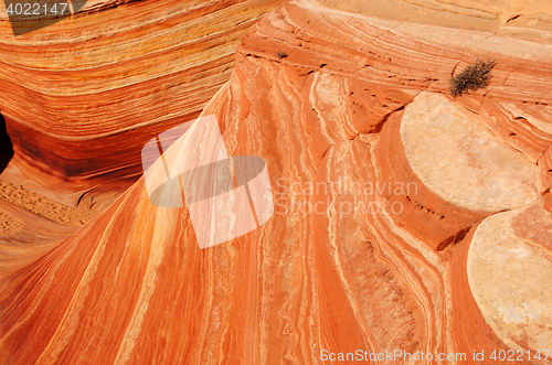 Image of The Wave, Vermilion Cliffs National Monument, Arizona, USA