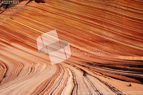 Image of The Wave, Vermilion Cliffs National Monument, Arizona, USA