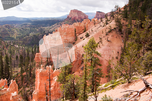 Image of Bryce Canyon, Utah, USA