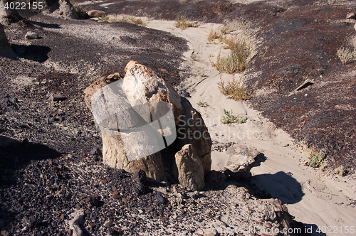 Image of Ah-Shi-Sle-Pah Wilderness Study Area, New Mexico, USA