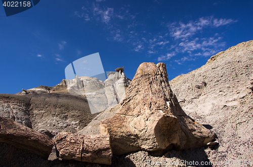 Image of Ah-Shi-Sle-Pah Wilderness Study Area, New Mexico, USA