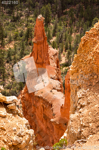 Image of Bryce Canyon, Utah, USA