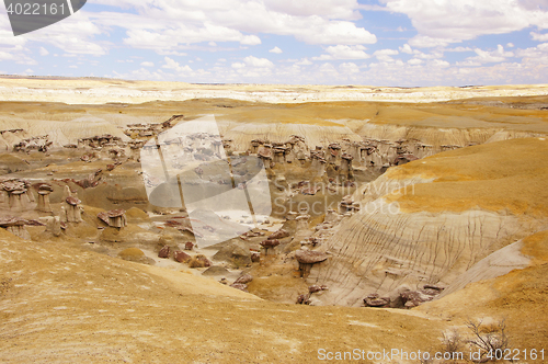 Image of Ah-Shi-Sle-Pah Wilderness Study Area, New Mexico, USA