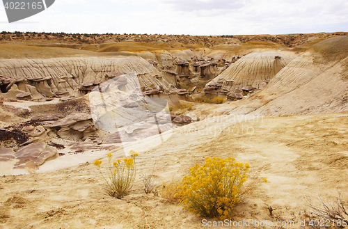 Image of Ah-Shi-Sle-Pah Wilderness Study Area, New Mexico, USA