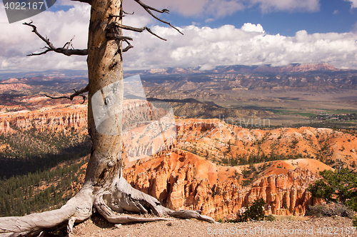 Image of Bryce Canyon, Utah, USA