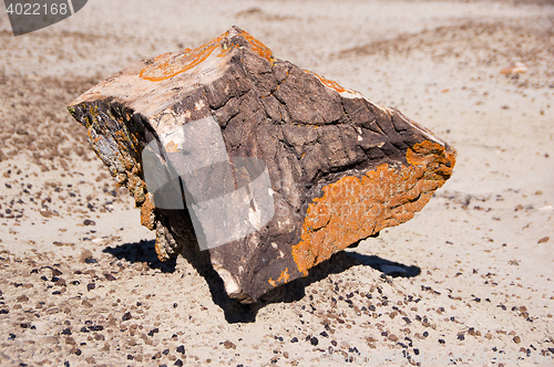 Image of Ah-Shi-Sle-Pah Wilderness Study Area, New Mexico, USA